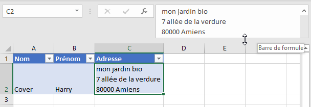 Excel - barre de formule développée