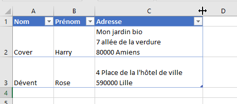 Excel - élargir une colonne