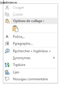 Menu contextuel pour accéder aux différents dictionnaires dans Word