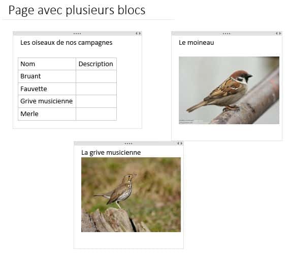 Les blocs dans une page OneNote